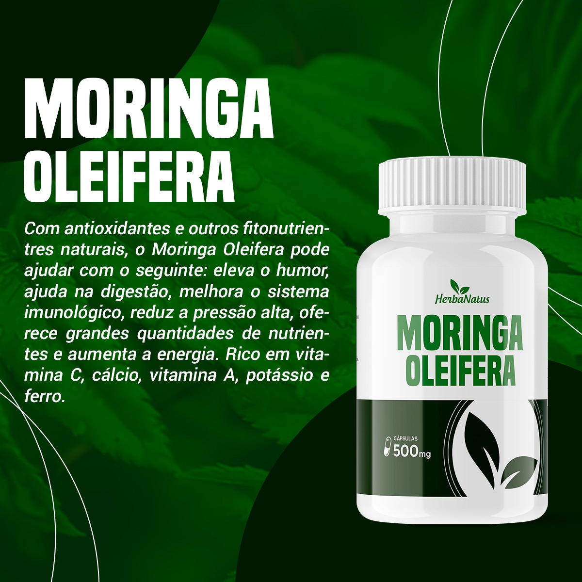 Moringa Oleifera 100 Cps 500 Mg Herbanatus Gaúcho Distribuídora 9243