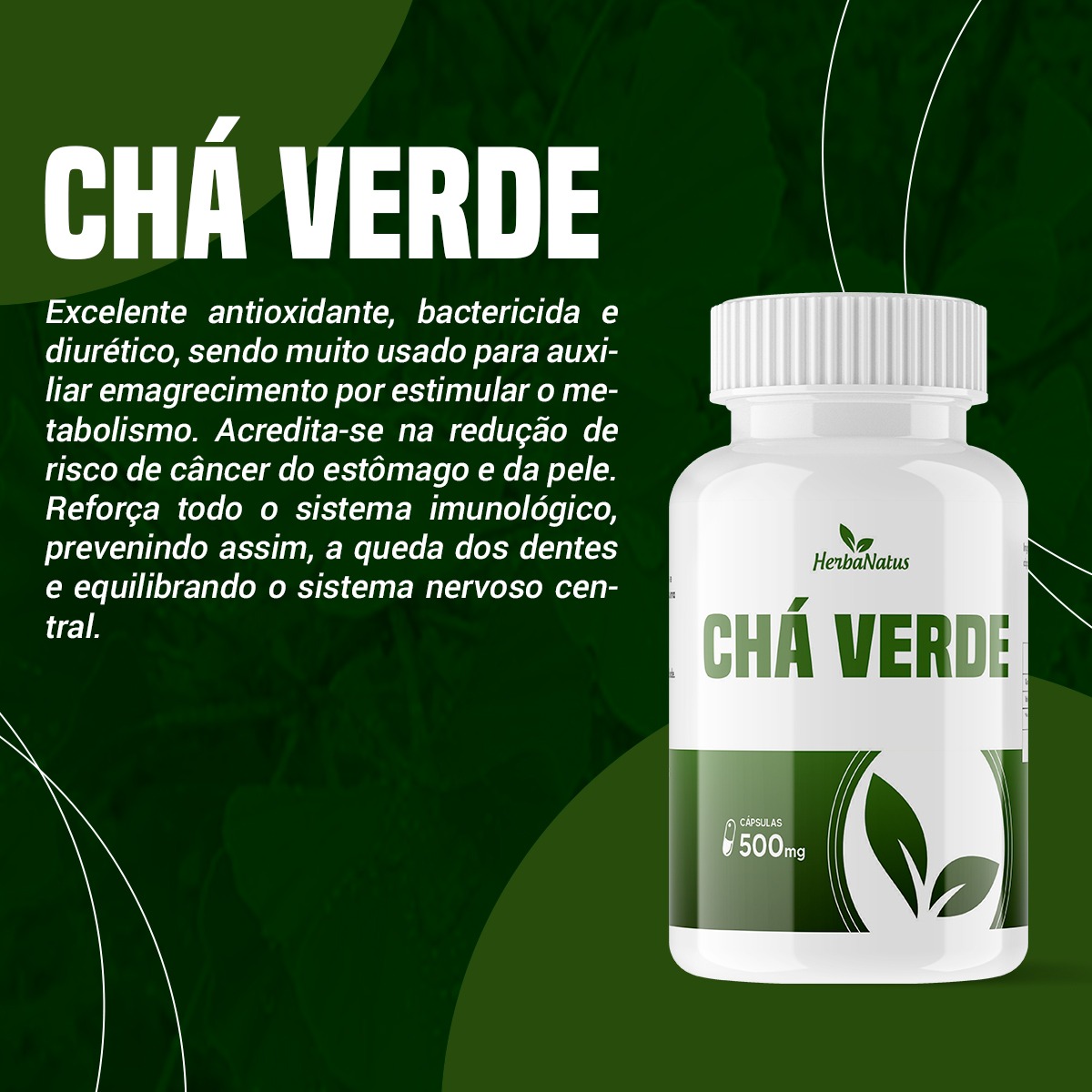 Cha Verde 500 Mg Herbanatus Gaúcho Distribuídora 4143