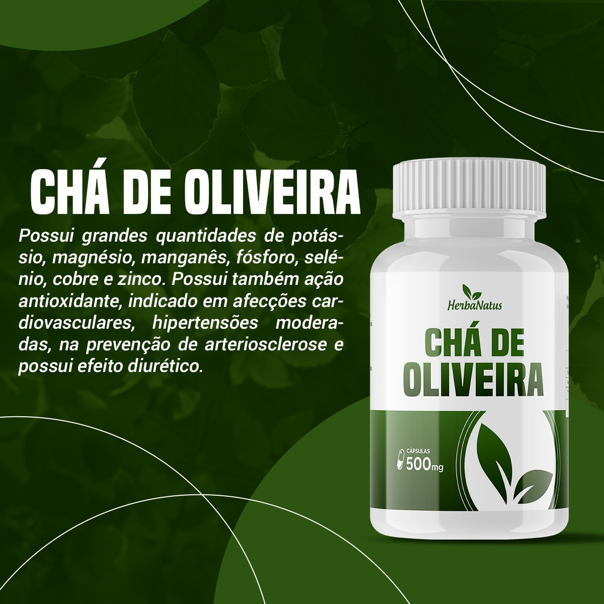 Cha De Oliveira 100 Cps 500 Mg Herbanatus Gaúcho Distribuídora 7068